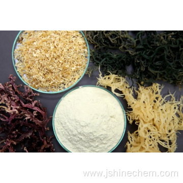 seaweed lota carrageenan food additive